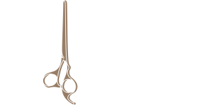 Ion Salon